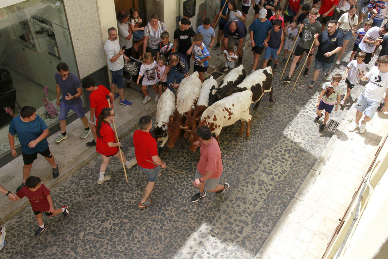 penas-taurinas-y-trashumancia-infantil-pucol