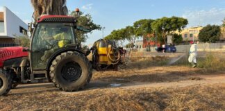 plan fumigación Albal