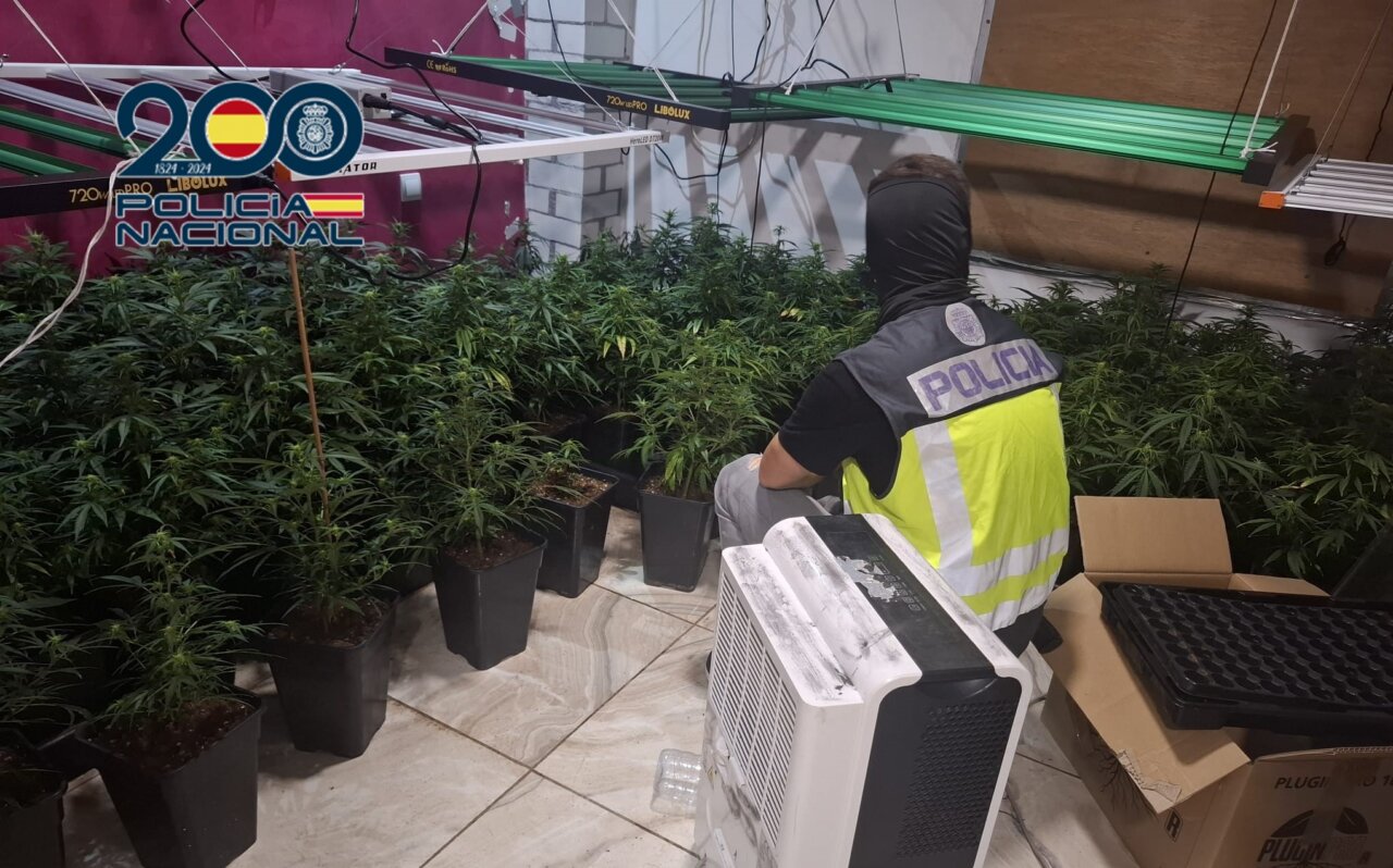plantaciones-de-marihuana-indoor-aldaia