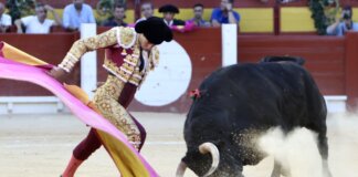 La correguda de bous impulsa l’audiència de les Fogueres en À Punt