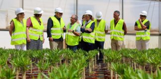 Visita de autoridades al vivero Herfesa en Torrent tras daños por DANA