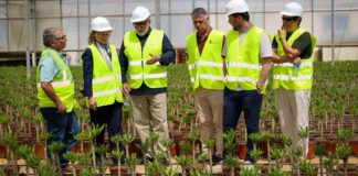 Visita del Ministerio de Agricultura a Torrent con autoridades y agricultores