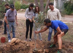Grupo de jóvenes plantando un árbol en un entorno natural