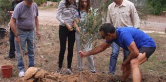 Grupo de jóvenes plantando un árbol en un entorno natural