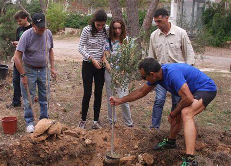 Grupo de jóvenes plantando un árbol en un entorno natural