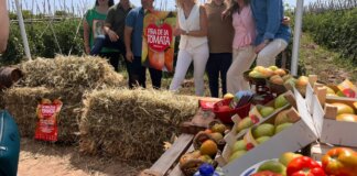 Fira de la Tomata de Meliana 2025 presentación