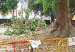 Moncada parque de las canastas