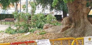 Moncada parque de las canastas