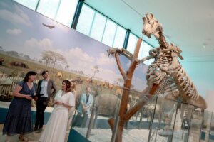 Museo ciencias naturales valencia