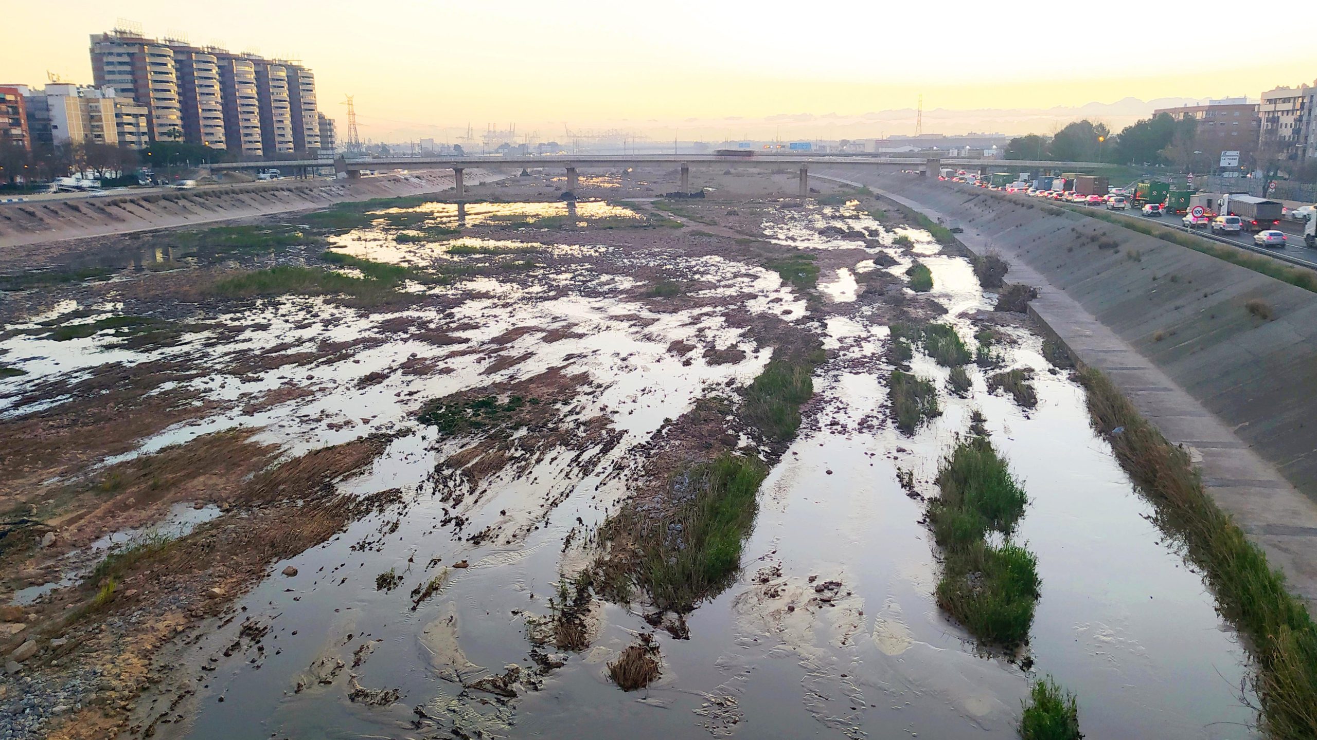 Vista del caixer nou del riu Túria en València, con vegetación y agua estancada.