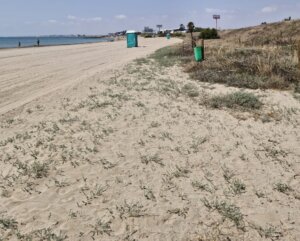 playa Massalfassar