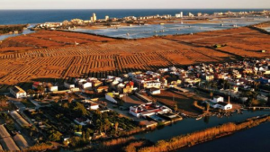 Vista aérea de El Palmar con campos y agua en el fondo