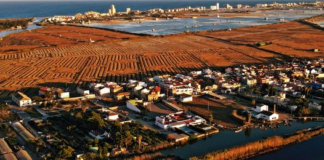 Vista aérea de El Palmar con campos y agua en el fondo