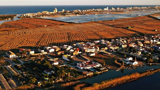 Vista aérea de El Palmar con campos y agua en el fondo
