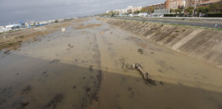 Aspecto del río Turia dos semanas después de la dana del 29 de octubre.