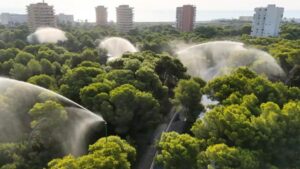 Sistema de riego en un bosque de pinos en El Saler