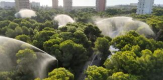 Sistema de riego en un bosque de pinos en El Saler