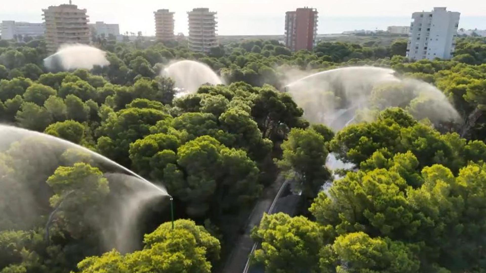 València activa els canons d’aigua de la Devesa davant el risc extrem d’incendis