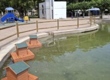 Casetas flotantes para proteger a los patos del Parque de Les Barraques del sol en Catarroja