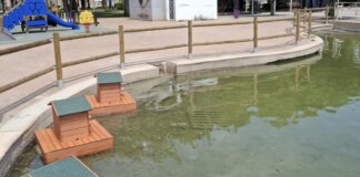 Casetas flotantes para proteger a los patos del Parque de Les Barraques del sol en Catarroja