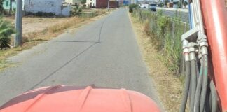 Vista de un camino desbrozado en Alboraya con vegetación recortada