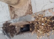 Benetússer refuerza el mantenimiento de los imbornales ante la posible llegada de las lluvias en otoño limpieza imbornales Benetússer