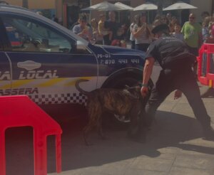 Perros policia Almàssera Perros policia Almàssera