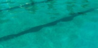 piscina municipal Moncada