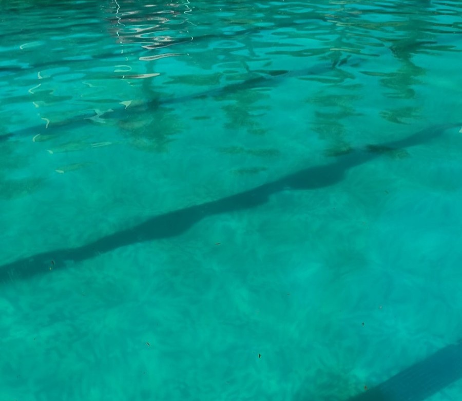 piscina municipal Moncada