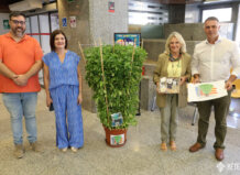 Alfábegas de Bétera al ayuntamiento de Torrent