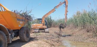 La CHJ refuerza la protección en los barrancos del Poyo y l’Horteta entre Picanya y Paiporta tras la DANA