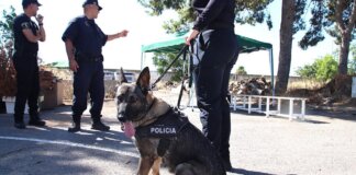 alaquas-sede-autonomica-formacion-unidades-caninas