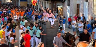 Actos populares, taurinos y religiosos para celebrar las fiestas mayores 2025 de Massamagrell