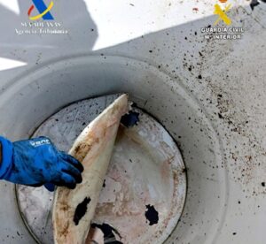Inspección de bidones en el puerto de Valencia con cocaína oculta
