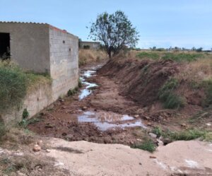 limpieza-barranquet-y-alrededores-museros