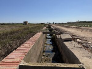Vista del camí del Muix en Albalat dels Sorells con infraestructura agrícola