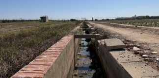 Vista del camí del Muix en Albalat dels Sorells con infraestructura agrícola