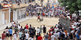 Desencaixonada de bous en Puçol con gran afluencia de público