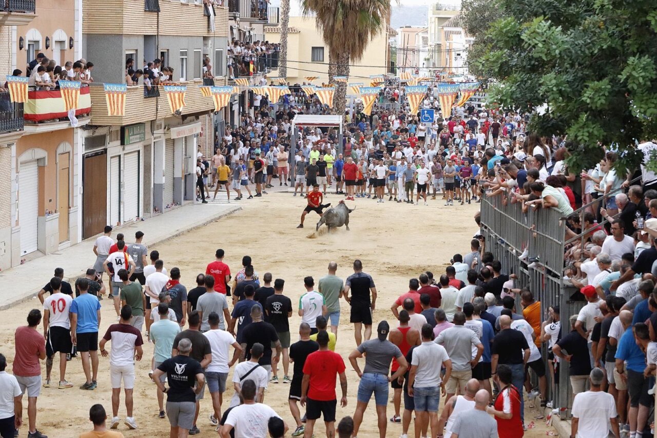 Puçol desencaixonada