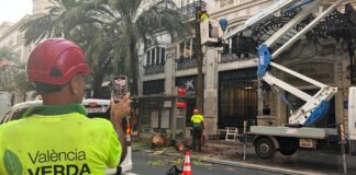 Trabajadores retirando palmeras en el carrer de les Barques en València.
