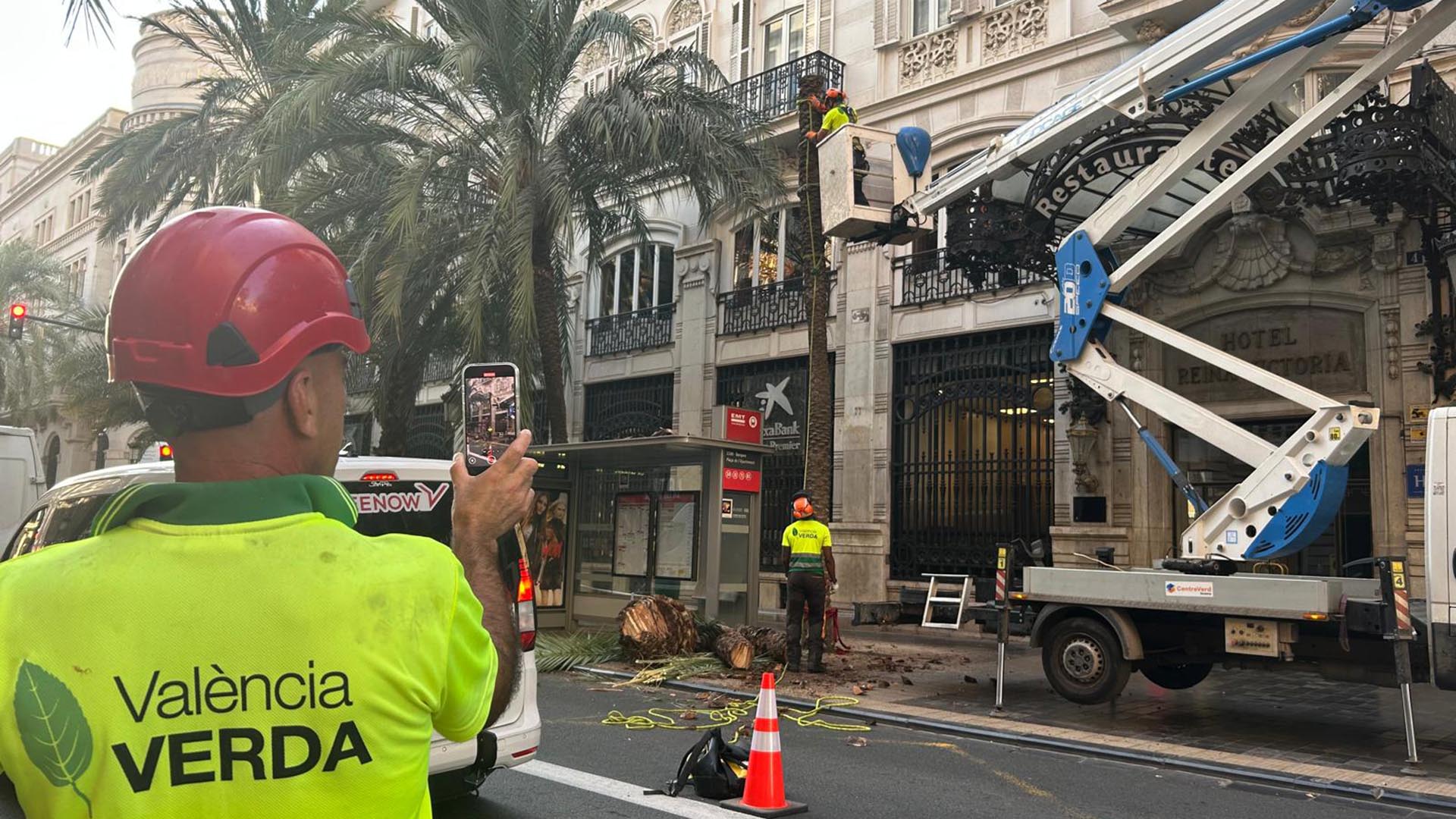 Trabajadores retirando palmeras en el carrer de les Barques en València.