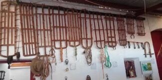 La Pobla de Farnals habilitará una exposición permanente sobre herramientas agrícolas antiguas La Pobla de Farnals creará una exposición etnológica permanente con herramientas agrícolas antiguas