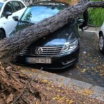Árbol caído sobre vehículos en Alboraia tras la DANA Alice.