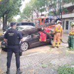 Árbol caído sobre un coche en Alboraia tras la DANA Alice.