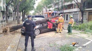 Árbol caído sobre un coche en Alboraia tras la DANA Alice.