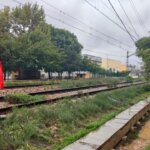 Bomberos junto a vías del metro tras caída de un árbol en Valencia
