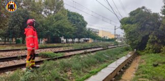 Bomberos junto a vías del metro tras caída de un árbol en Valencia