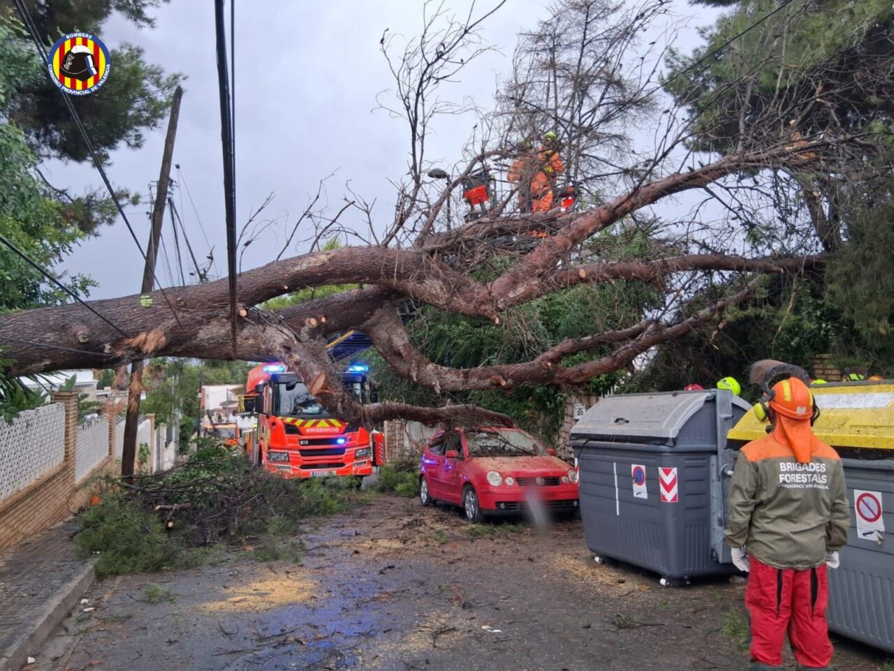 Árbol caído bloqueando la calle tras intensas lluvias en Torrent