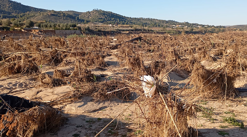 daños DANA agricultura