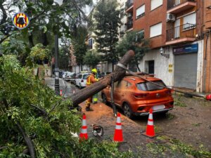 Bomberos retirando un árbol caído sobre un coche en Picanya